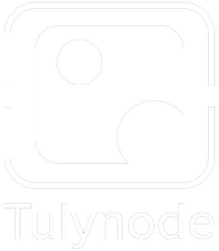 Tulynode-logo